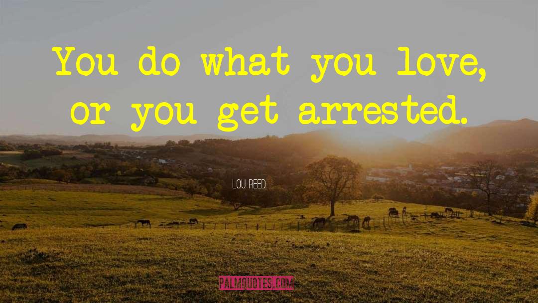 Do What You Love quotes by Lou Reed