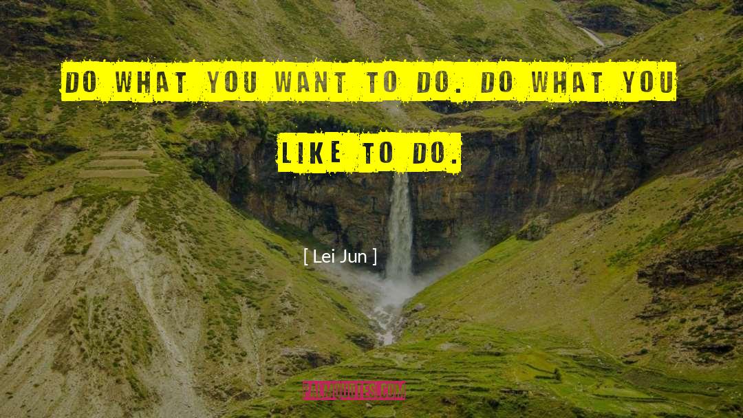 Do What You Want quotes by Lei Jun