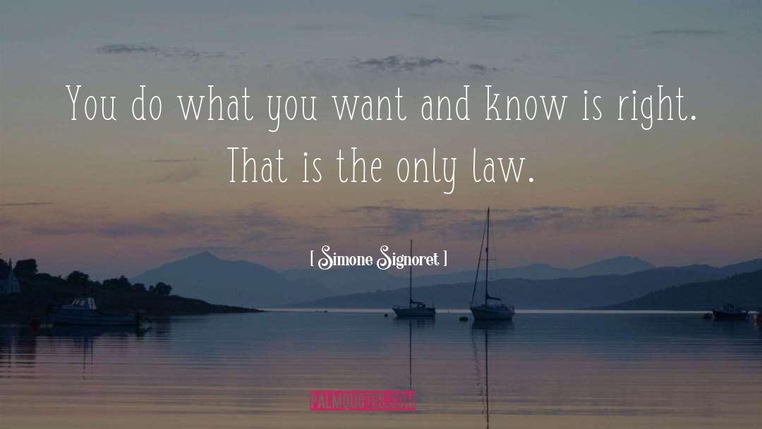 Do What You Want quotes by Simone Signoret