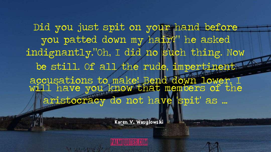 Do You Even See Me quotes by Karen V. Wasylowski