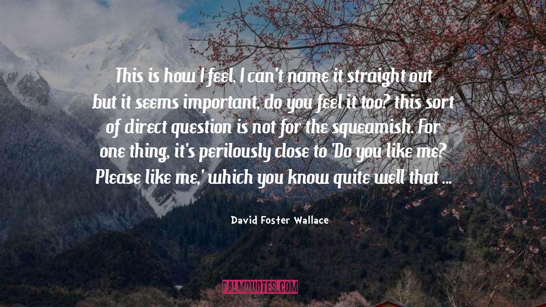 Do You Like Me quotes by David Foster Wallace