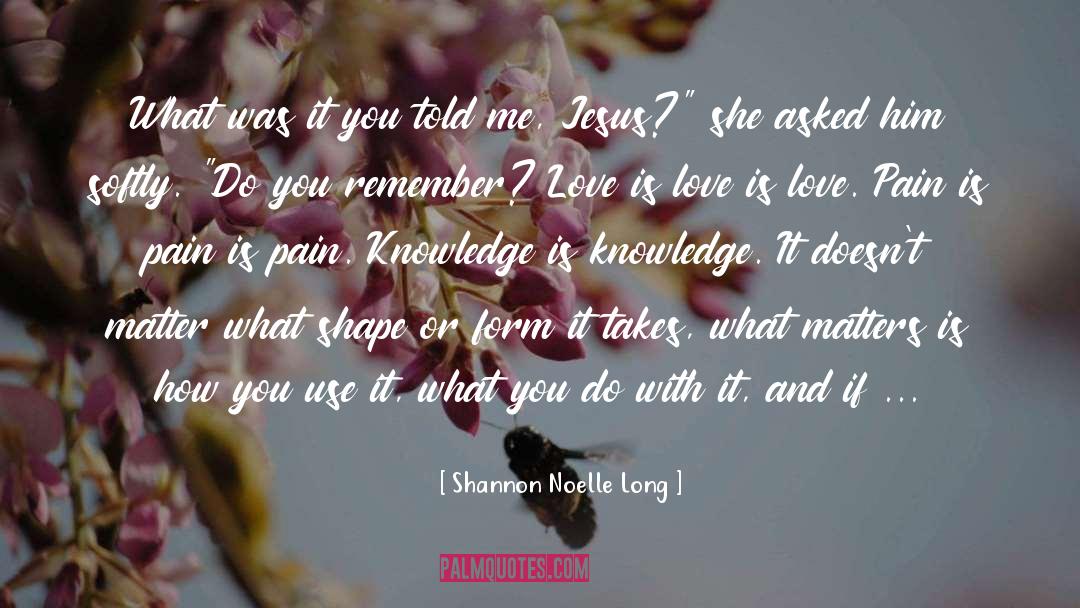 Do You Remember quotes by Shannon Noelle Long