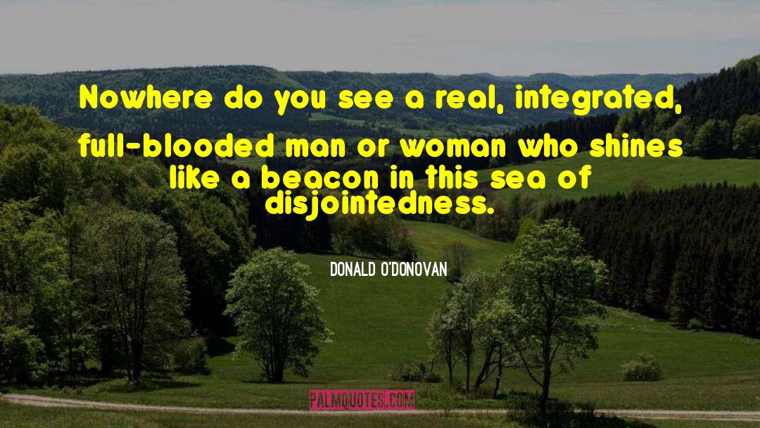 Do You See quotes by Donald O'Donovan