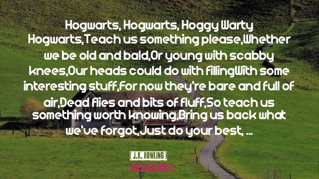 Do Your Best quotes by J.K. Rowling