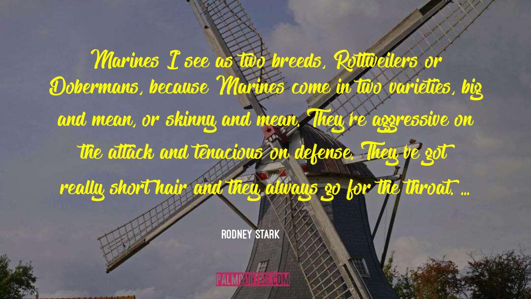 Dobermans quotes by Rodney Stark