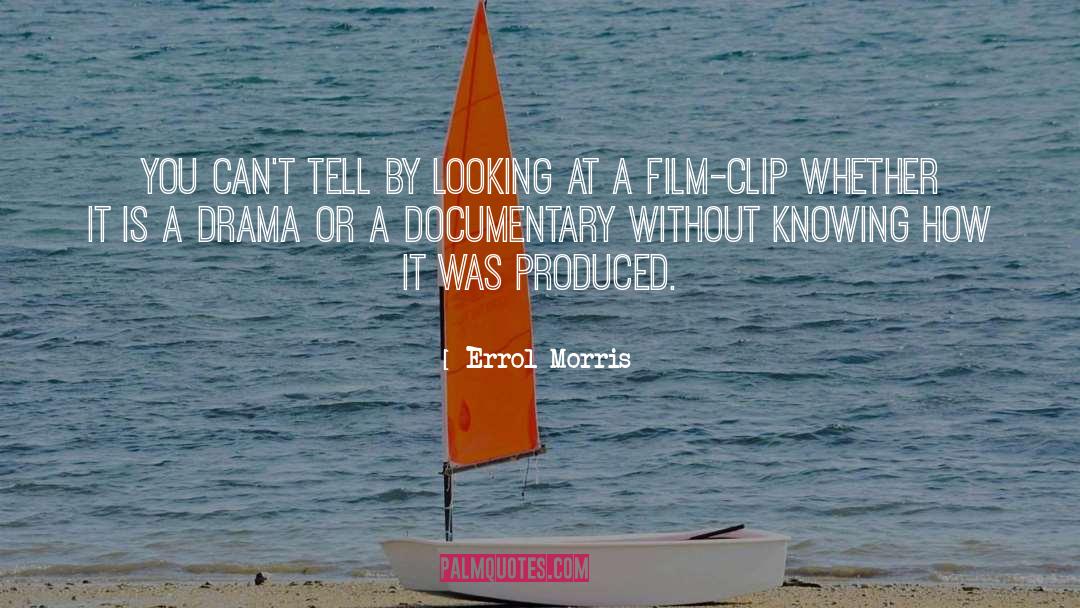 Documentary Photography quotes by Errol Morris
