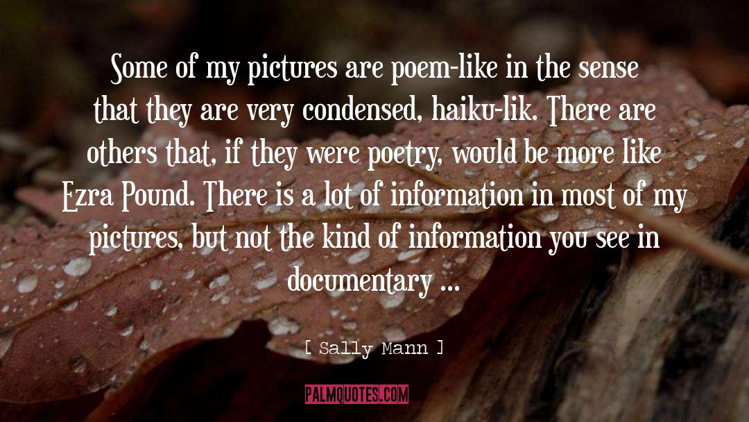 Documentary Photography quotes by Sally Mann