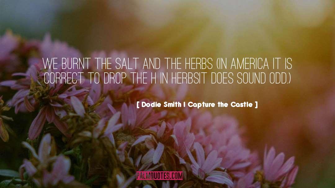 Dodie quotes by Dodie Smith I Capture The Castle