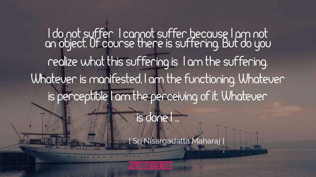 Doer quotes by Sri Nisargadatta Maharaj