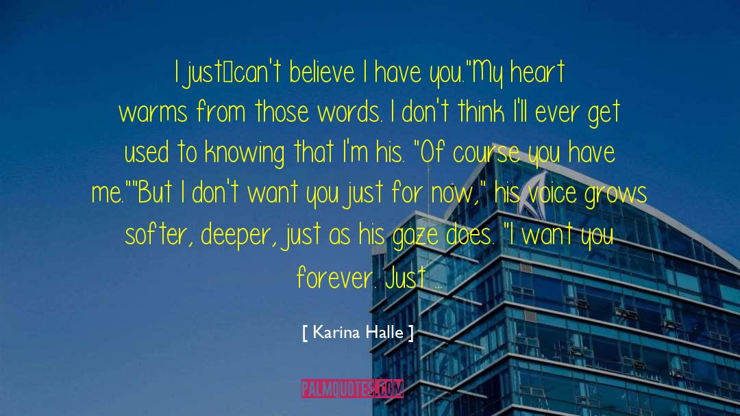 Does I quotes by Karina Halle