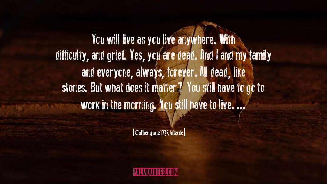 Does It Matter quotes by Catherynne M Valente