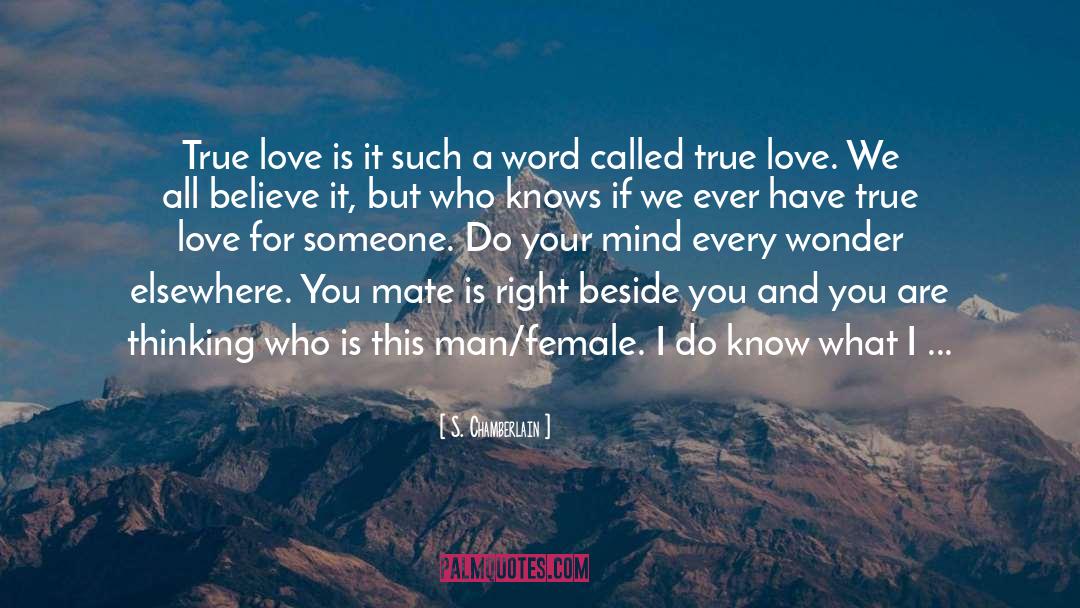 Does True Love Exist quotes by S. Chamberlain