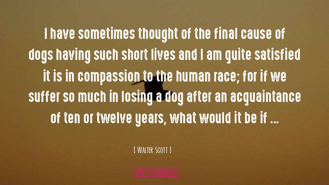 Dog And Baby quotes by Walter Scott