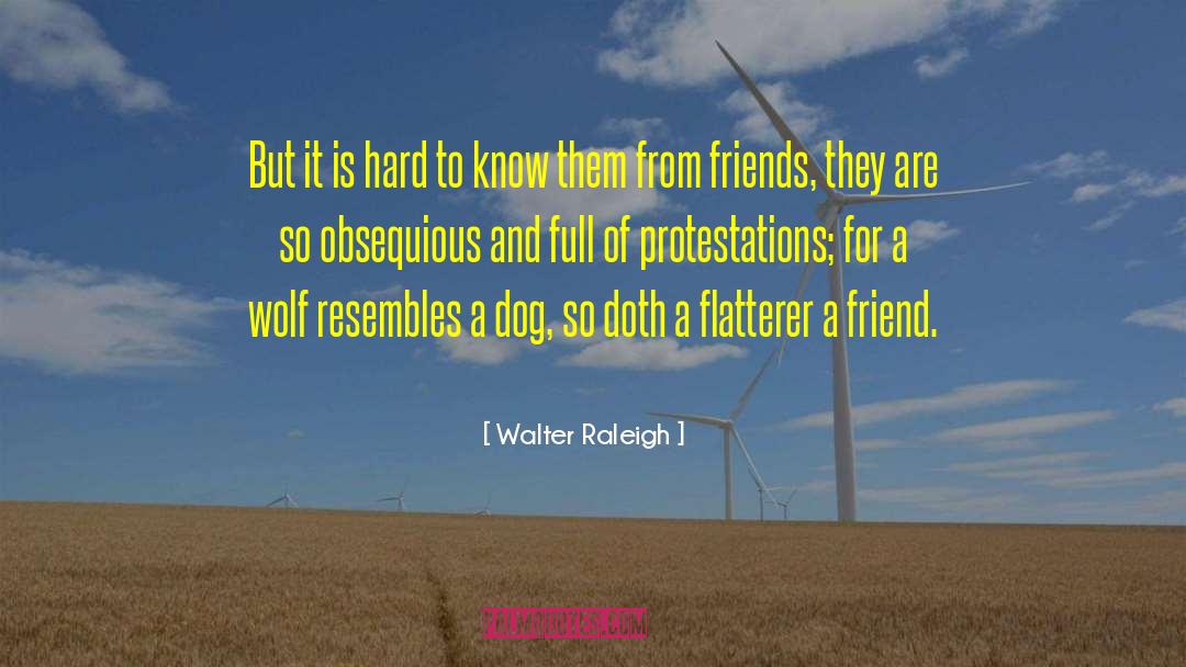 Dog And Dog Owner quotes by Walter Raleigh