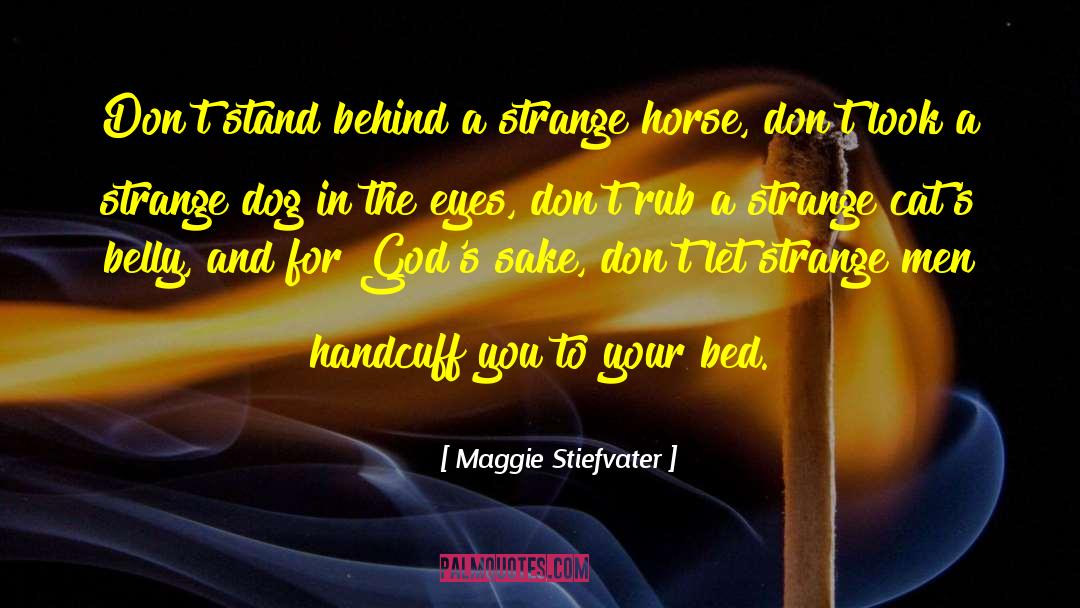 Dog And Dog Owner quotes by Maggie Stiefvater