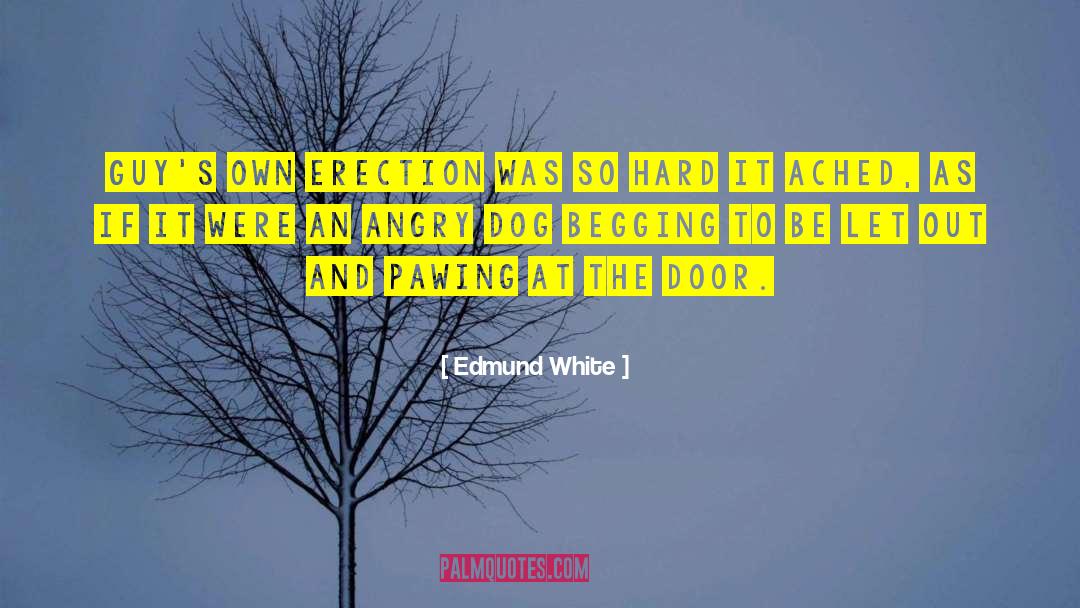 Dog Behaviorist quotes by Edmund White