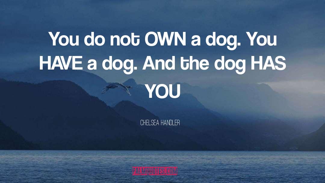 Dog Chilling quotes by Chelsea Handler