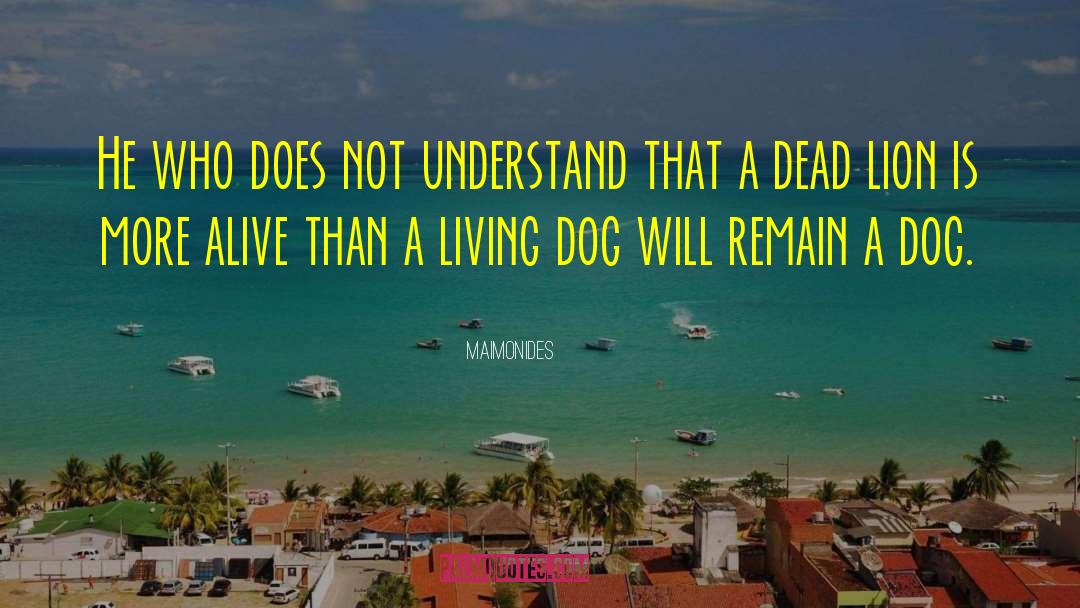 Dog Chilling quotes by Maimonides