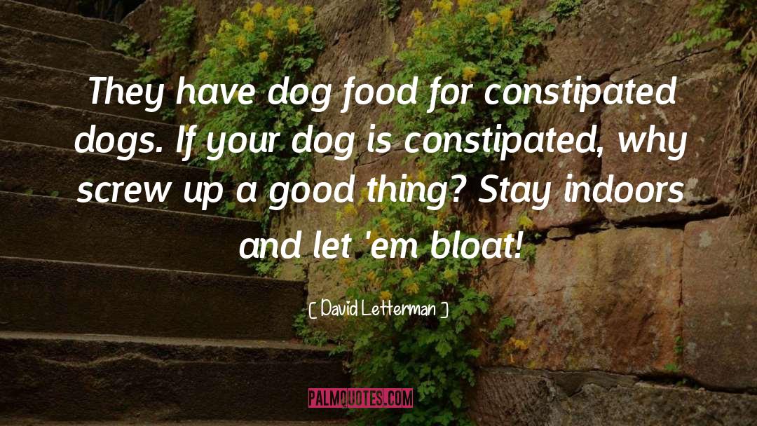 Dog Chilling quotes by David Letterman