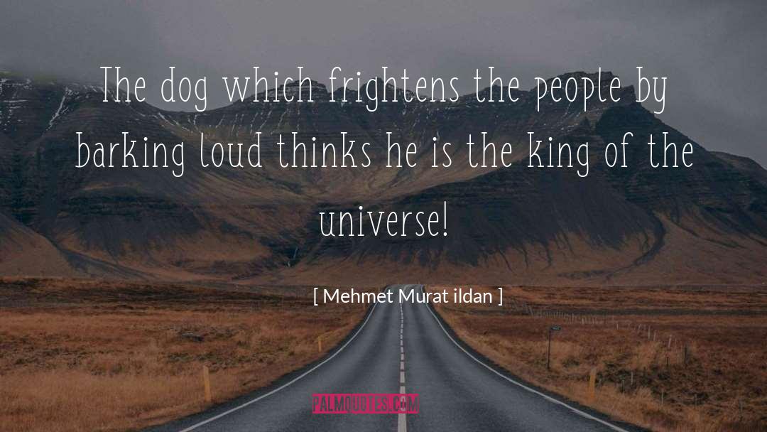 Dog Comparison quotes by Mehmet Murat Ildan
