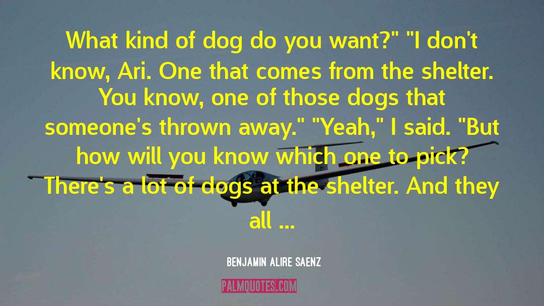 Dog Comparison quotes by Benjamin Alire Saenz