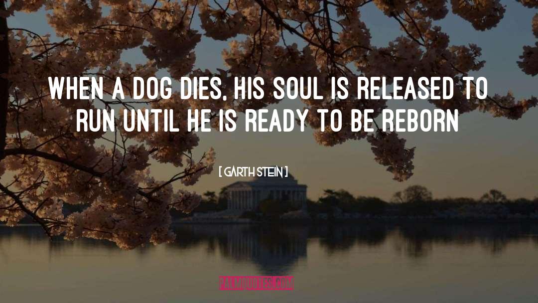 Dog Dies quotes by Garth Stein