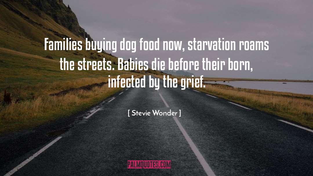 Dog Grief quotes by Stevie Wonder