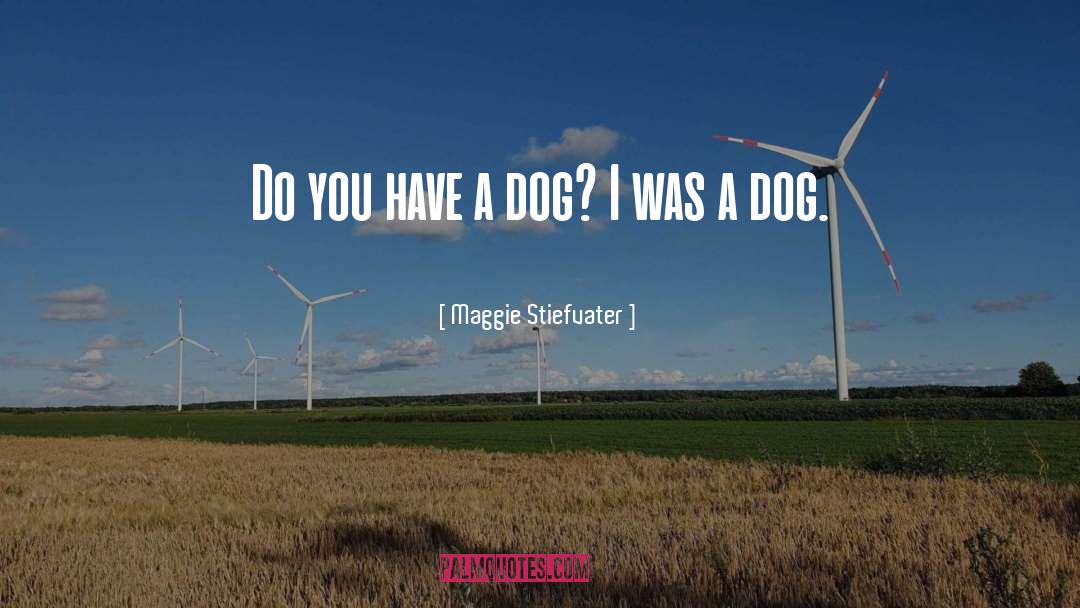 Dog Handling quotes by Maggie Stiefvater