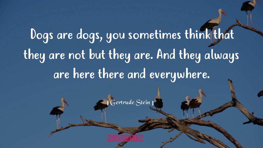 Dog Harnesses quotes by Gertrude Stein