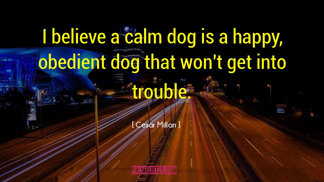 Dog Health quotes by Cesar Millan