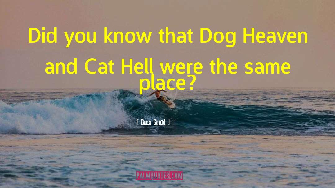 Dog Heaven quotes by Dana Gould