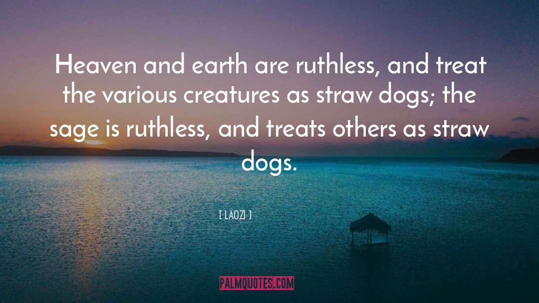 Dog Heaven quotes by Laozi