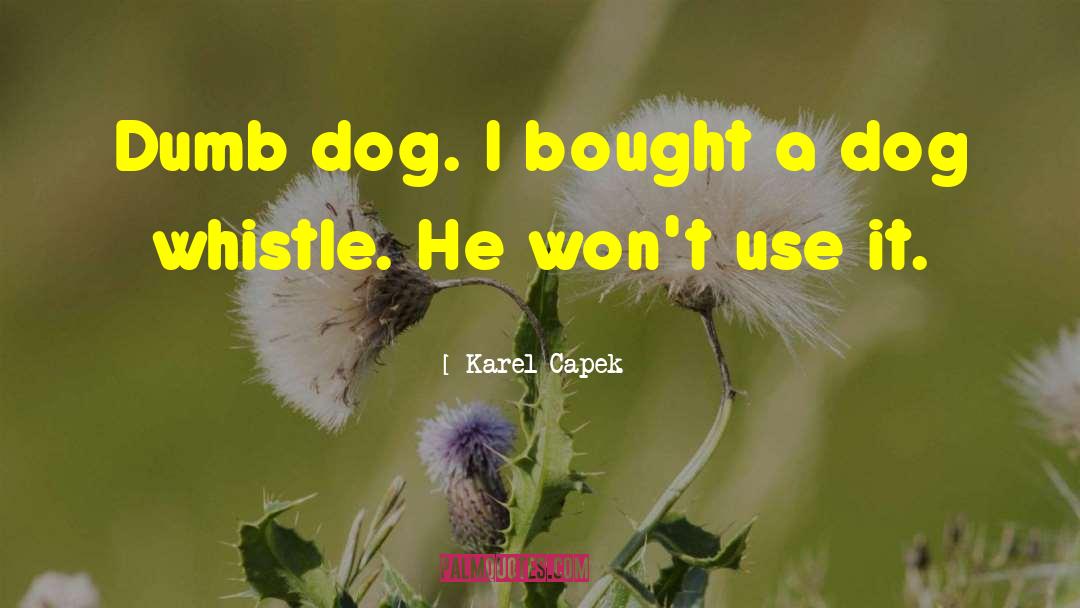 Dog Humor quotes by Karel Capek