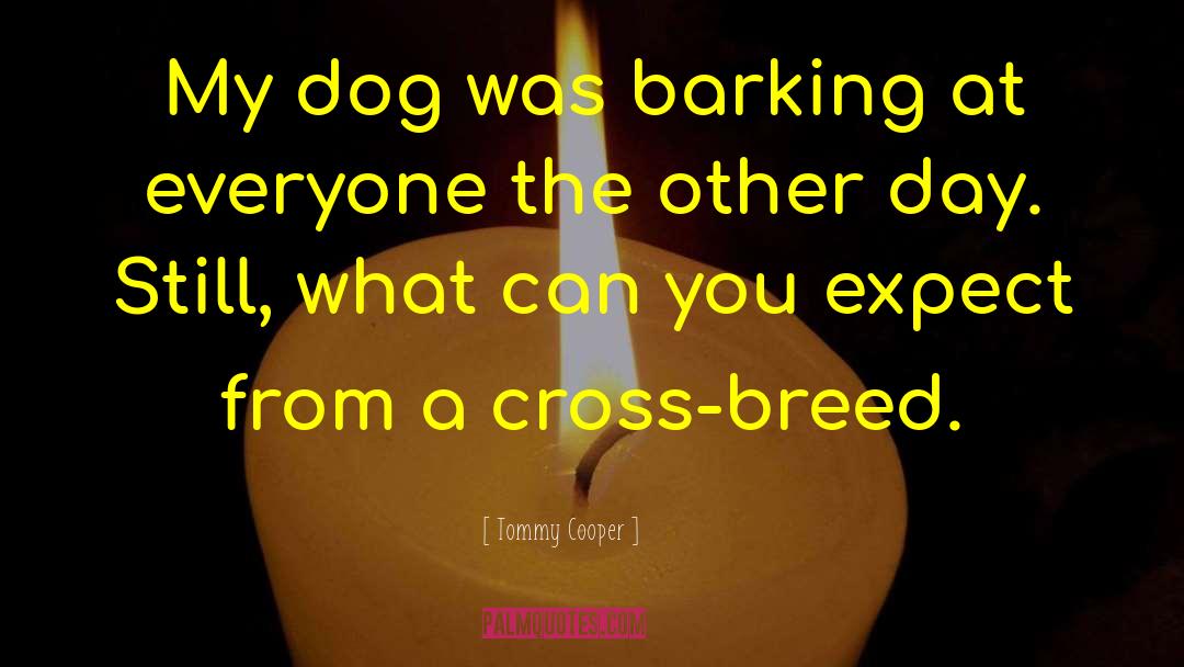 Dog Humor quotes by Tommy Cooper