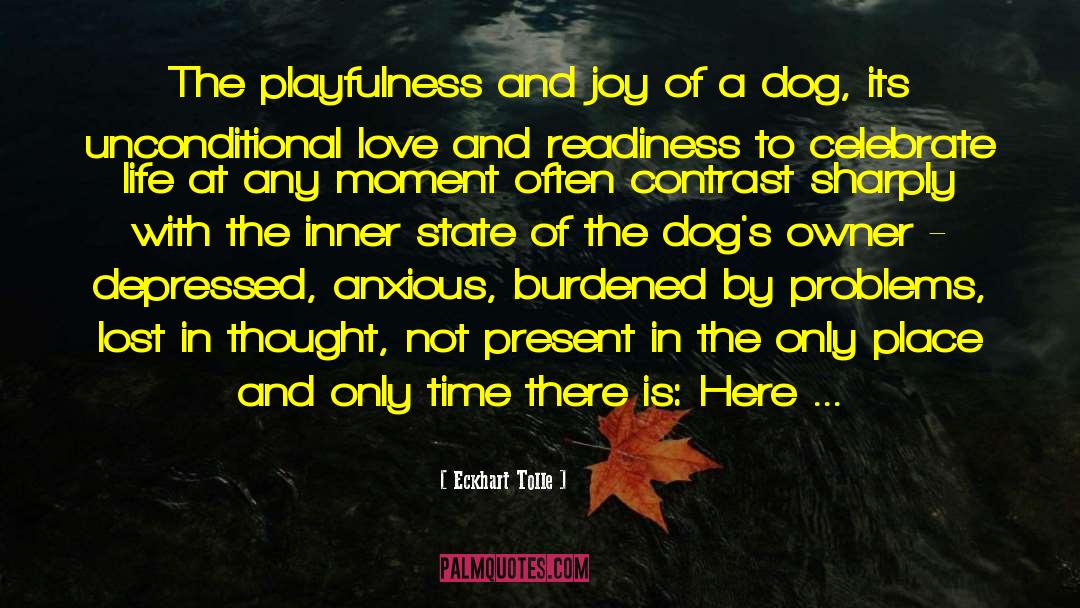 Dog Loss quotes by Eckhart Tolle