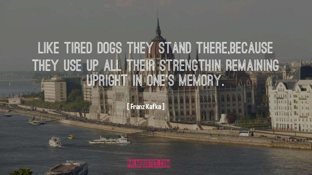 Dog Loss quotes by Franz Kafka