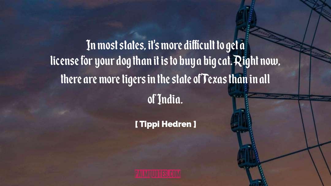 Dog Lover quotes by Tippi Hedren