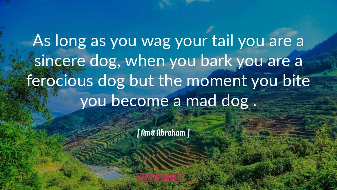 Dog Lover quotes by Amit Abraham