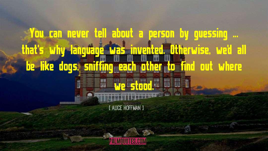 Dog Lover quotes by Alice Hoffman