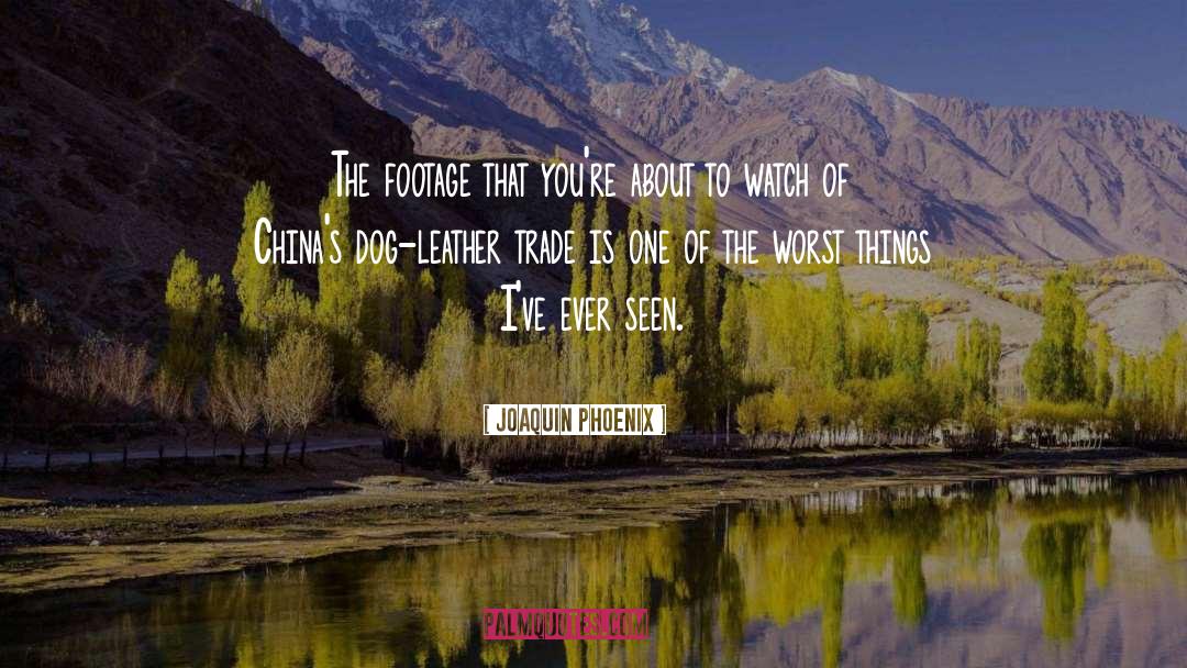 Dog Lover quotes by Joaquin Phoenix
