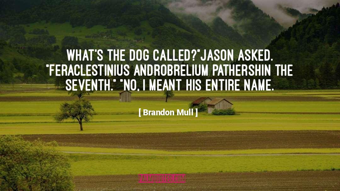 Dog Passed quotes by Brandon Mull