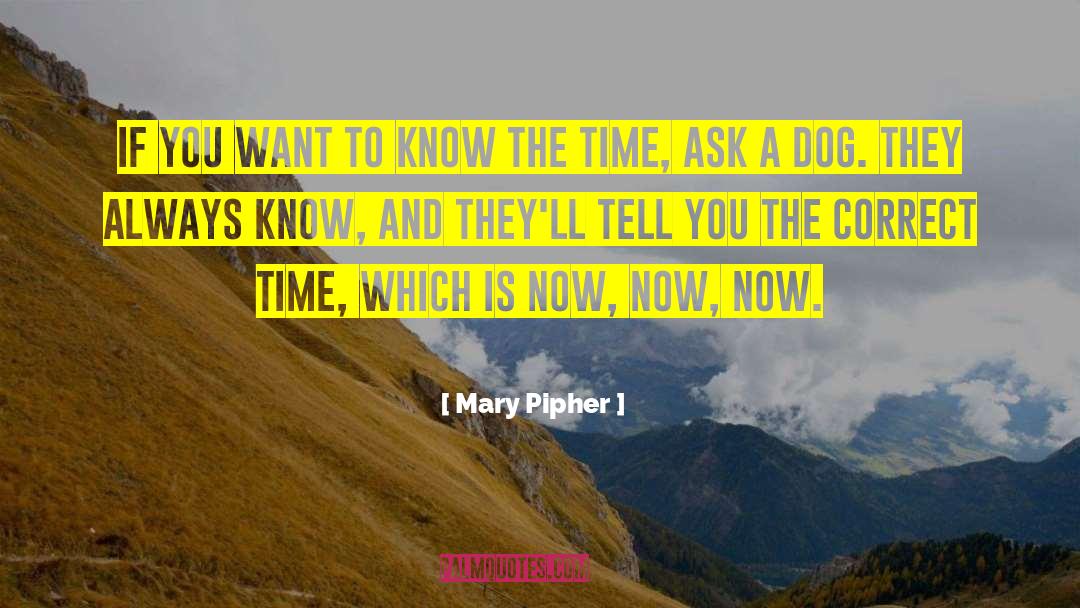 Dog Passed quotes by Mary Pipher