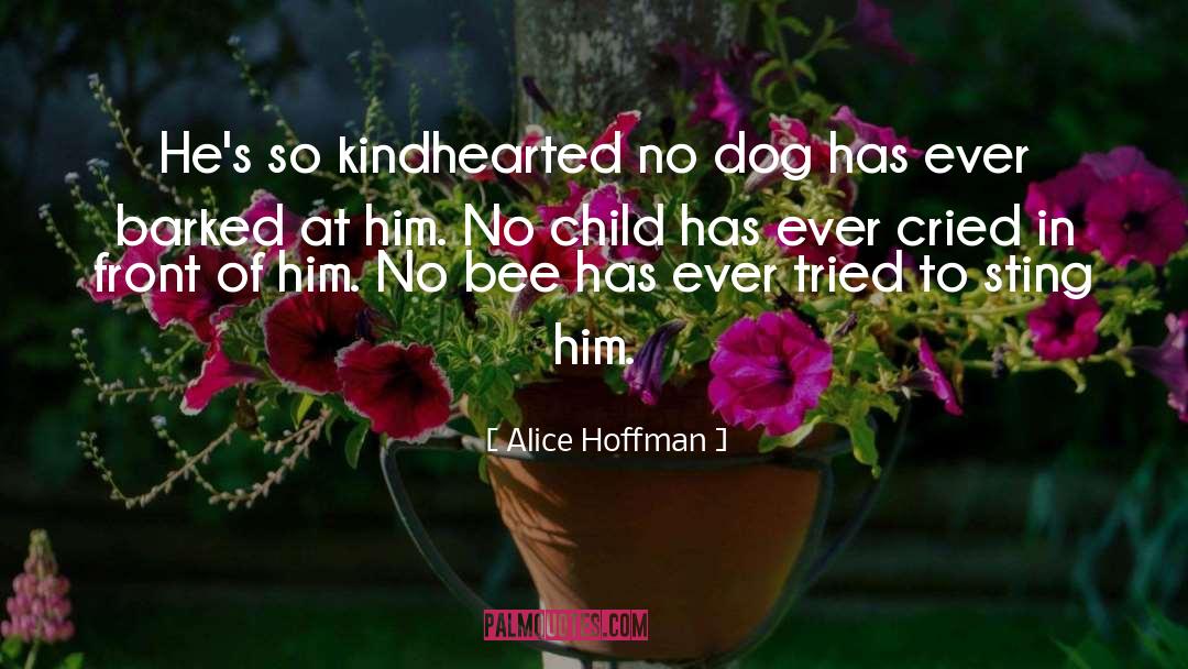 Dog Passed quotes by Alice Hoffman