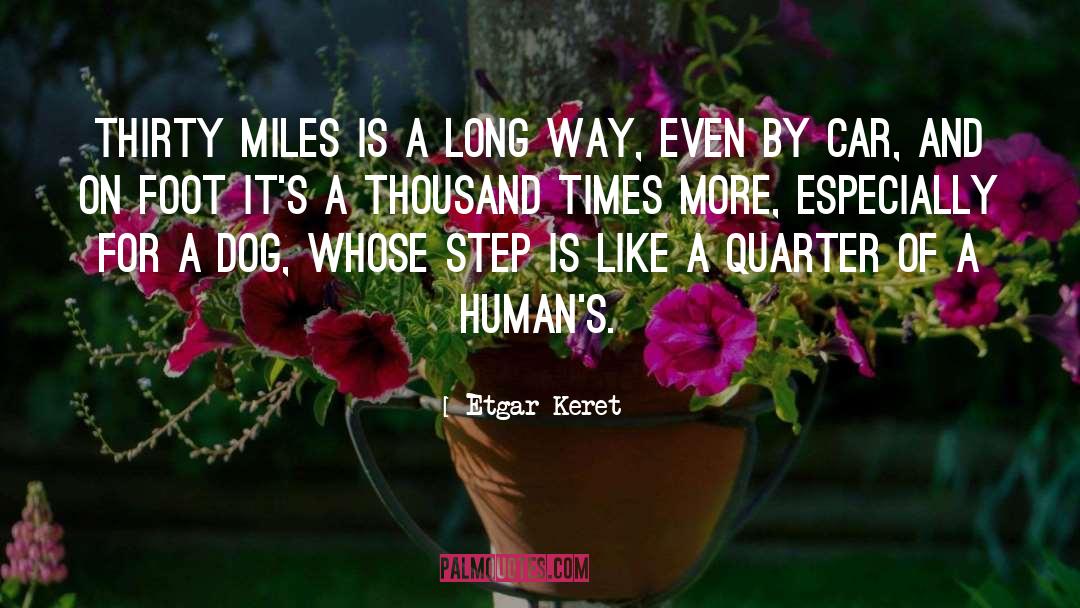Dog quotes by Etgar Keret