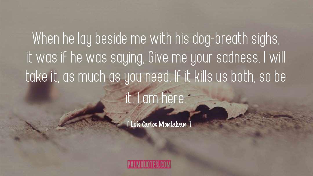 Dog quotes by Luis Carlos Montalvan