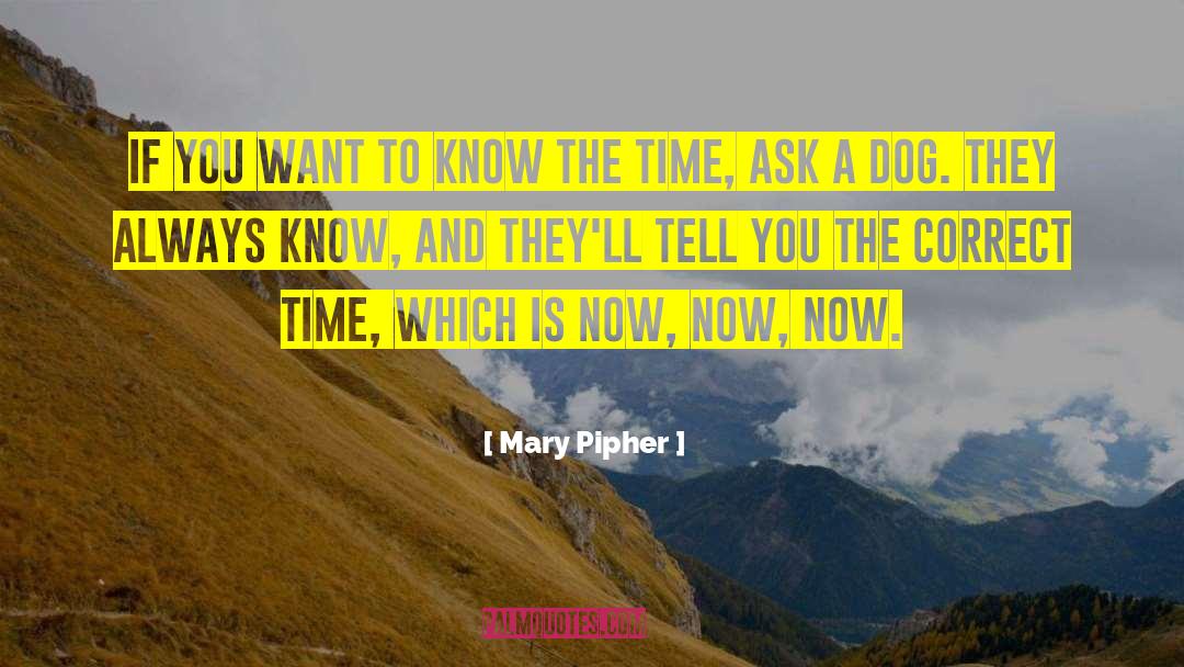 Dog Racing quotes by Mary Pipher