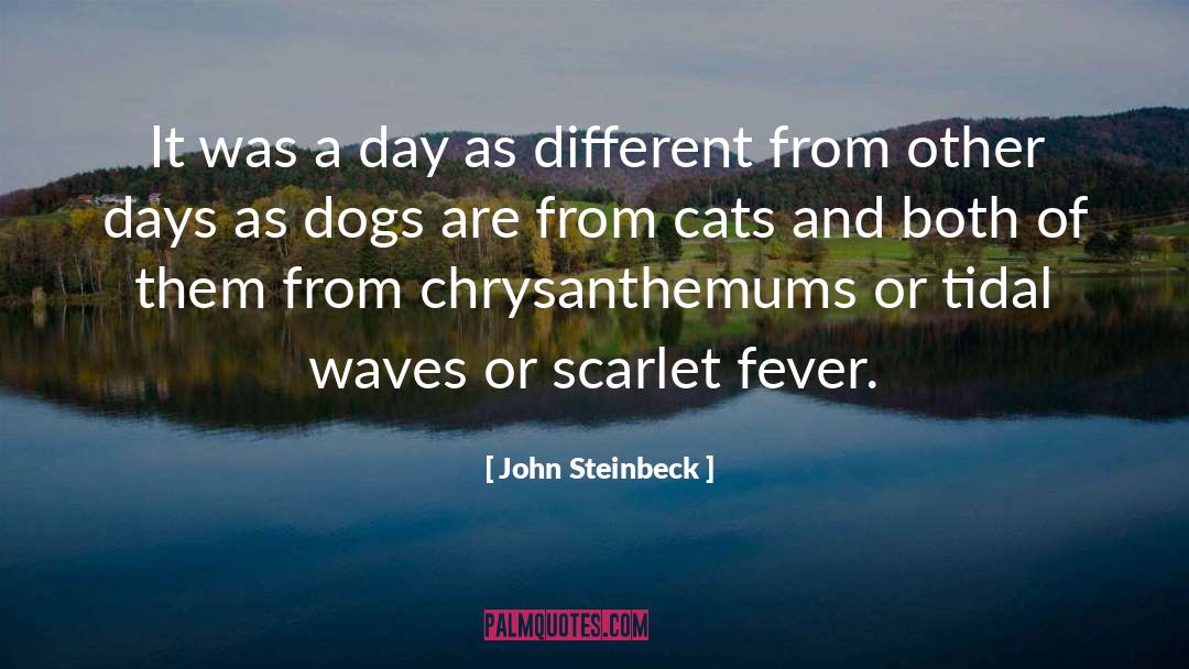 Dog Symptoms quotes by John Steinbeck