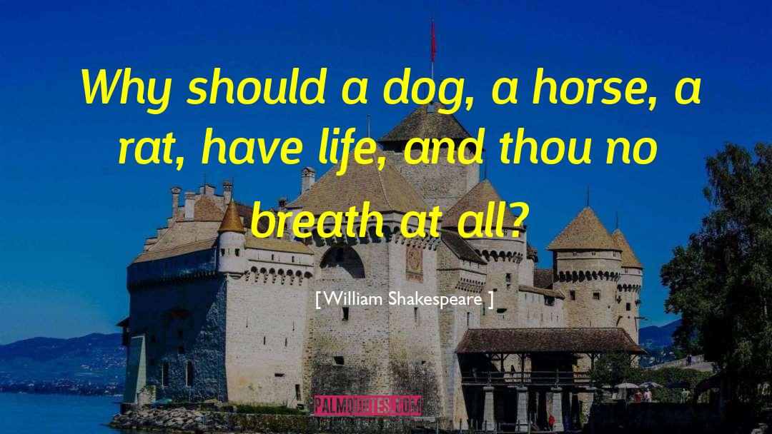 Dog Symptoms quotes by William Shakespeare