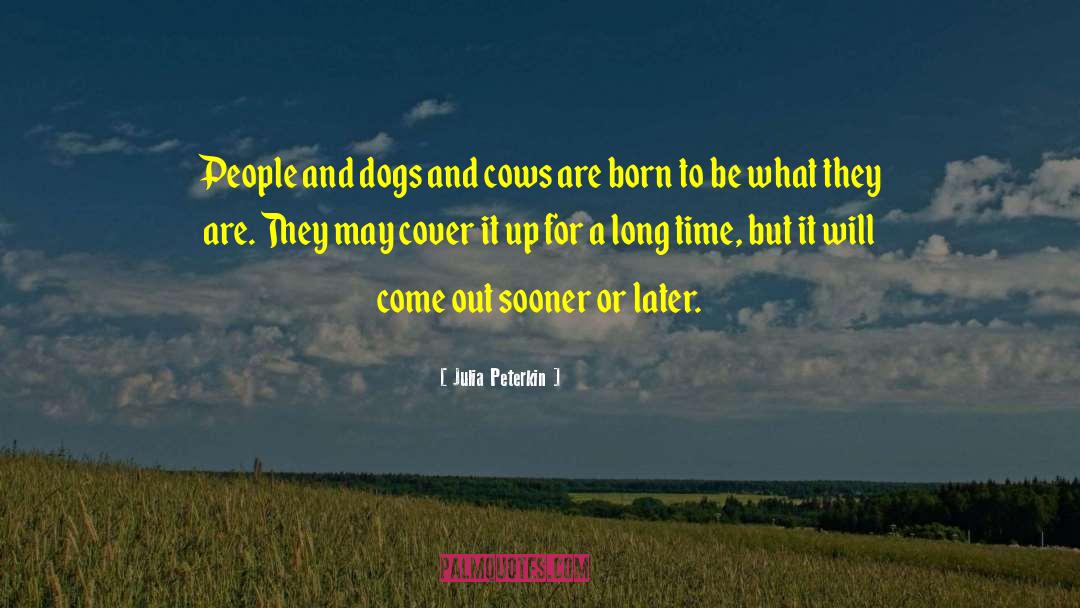 Dog Toy quotes by Julia Peterkin