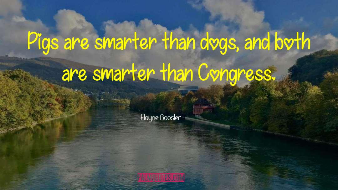 Dog Training quotes by Elayne Boosler